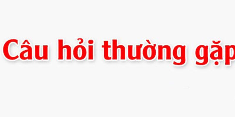 Câu hỏi thường gặp